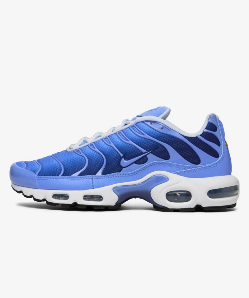 Nike Air Max Plus Lebrute
